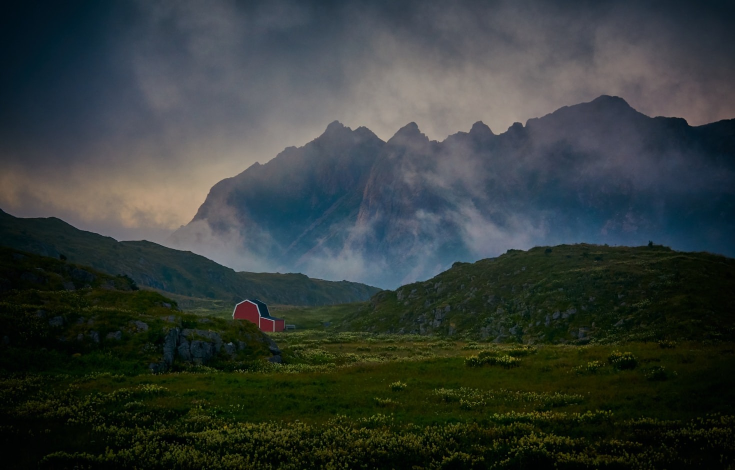 How to Start Embracing a Wilder Lifestyle