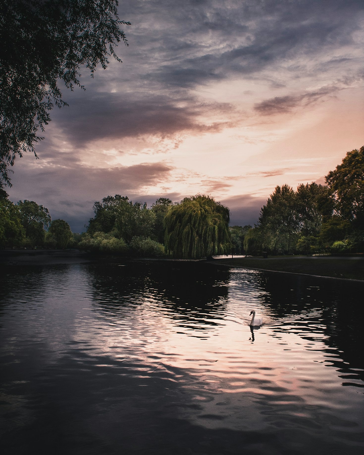 Creating Harmony with the Natural World